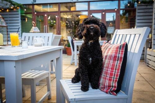 Bruntsfield Hotel, WorldHotels Elite photo 60