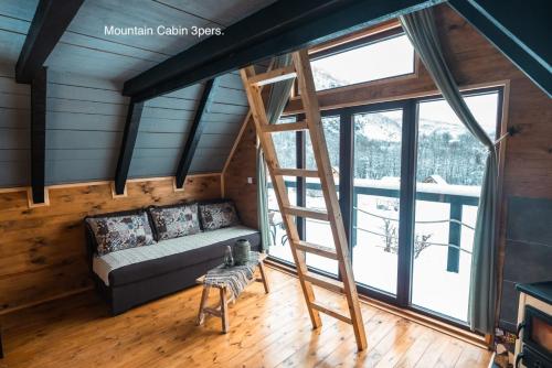 科拉欣的住宿－Camp Lipovo，带沙发和梯子的客厅