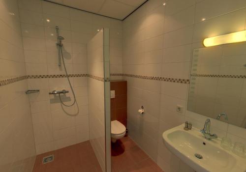 een badkamer met een douche, een toilet en een wastafel bij Erve Höwerboer in Ootmarsum