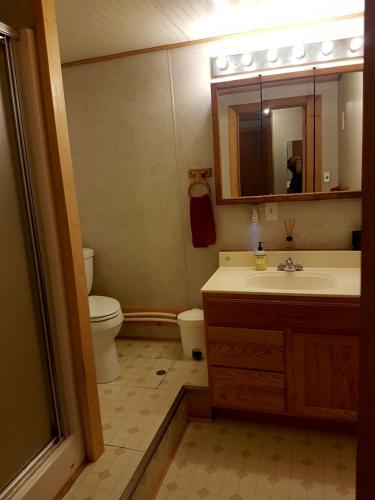 a bathroom with a sink and a toilet and a mirror at Northwoods Cottage Bed and Breakfast in Fairbanks