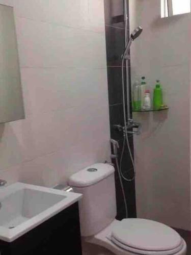 a bathroom with a shower and a toilet and a sink at Shuang Yang Sekinchan Homestay 3 in Sekincan