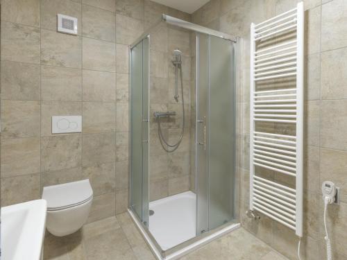 a bathroom with a shower and a toilet at Apartmán pod Pustým vrchem in Říčky