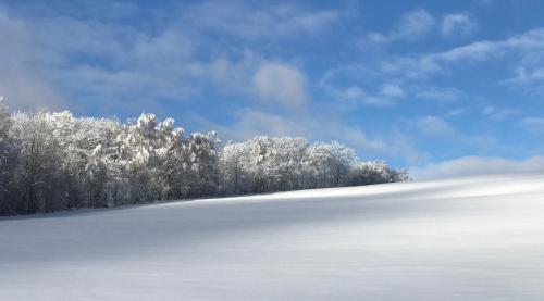 a snow covered field with trees in the background at Apartmán pod Pustým vrchem in Říčky