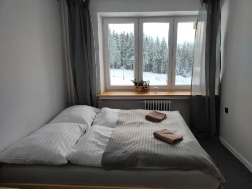 a bed in a bedroom with a window and two towels at Chata - Dom Horskej služby Jasna in Demanovska Dolina