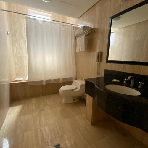 a bathroom with a toilet and a sink and a mirror at Eurobuilding Express Maracay in Maracay