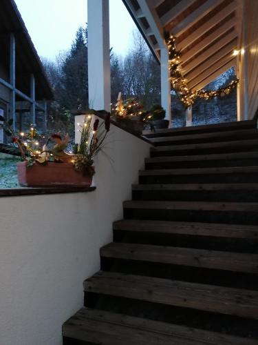 Galería fotográfica de chalet des pierres opalines en Xonrupt-Longemer
