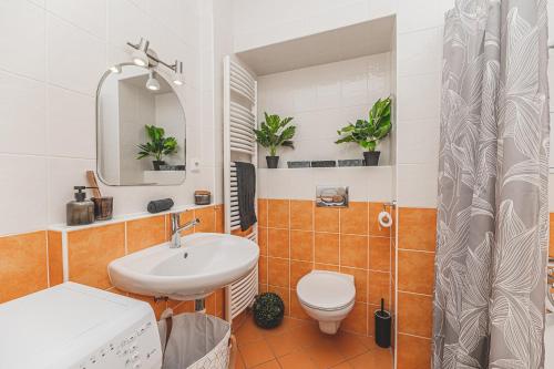 フラデツ・クラーロヴェーにある°°°Carolina's Modern Apartment °°°の洗面台とトイレ付きのバスルーム