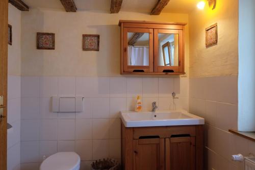 La salle de bains est pourvue d'un lavabo et de toilettes. dans l'établissement Historisches Haus im Herzen von Monschau, à Monschau