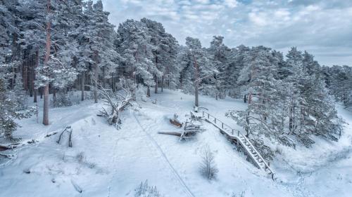 an aerial view of a ski lift in a snow covered forest at Villa MARIKA plus in Alajõe