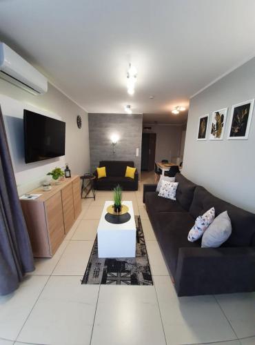 Μια τηλεόραση ή/και κέντρο ψυχαγωγίας στο Baltic Cliff Apartamenty
