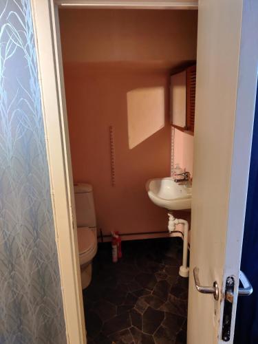 a bathroom with a toilet and a sink at Buskbacken Logi in Bollnäs