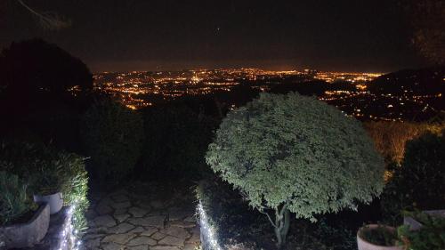 a tree sitting on top of a hill at night at Domaine du Bois d'Amont in Cabris