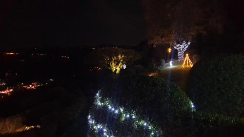 a night view of a garden with christmas lights at Domaine du Bois d'Amont in Cabris