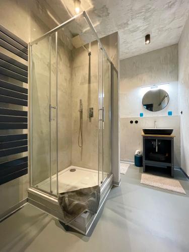 a glass shower in a bathroom with a fireplace at König Albert Industrie Loft in Bitterfeld