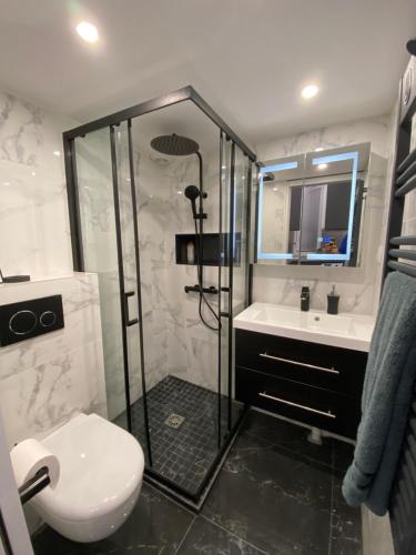 une salle de bain avec une douche, des toilettes et un lavabo dans l'établissement Luxurious LOFT NEAR JARDIN du LUXEMBOURG, à Paris