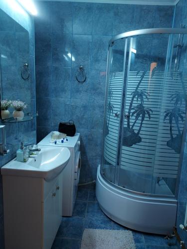 a bathroom with a tub and a sink and a shower at Vintage Central Apartament in Târgu Jiu