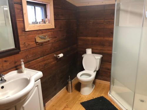 a bathroom with a toilet and a sink and a mirror at Mini-Mooh cabin in Clearwater