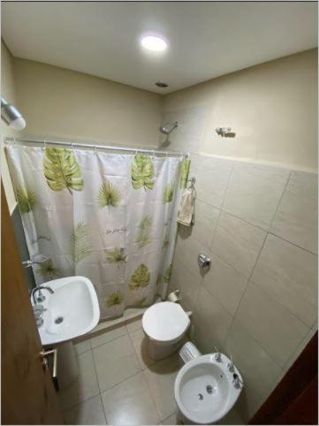 a bathroom with a sink and a toilet and a shower curtain at Costa Rio in Posadas
