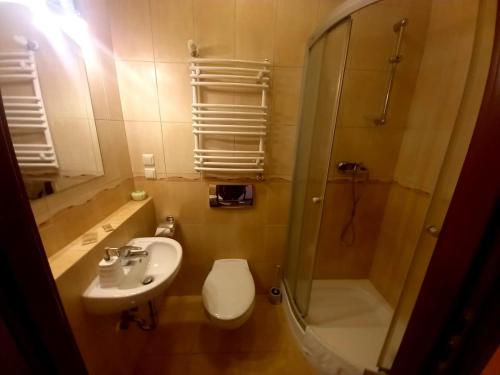 ein Bad mit einem WC, einem Waschbecken und einer Dusche in der Unterkunft Willa Romantika in Kudowa-Zdrój