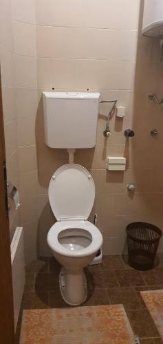 a bathroom with a white toilet in a room at Kraljevi Konaci Olja in Zlatibor