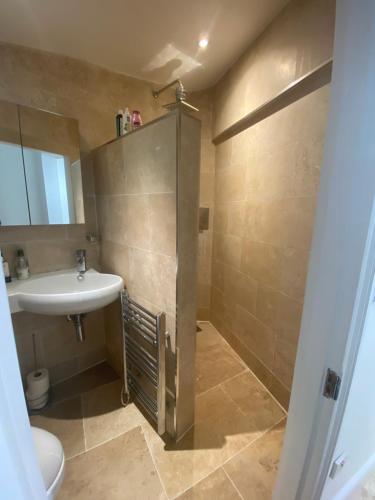 a bathroom with a sink and a toilet at Lovely Entire 1 Bedroom Flat with Patio in Chiswick in London