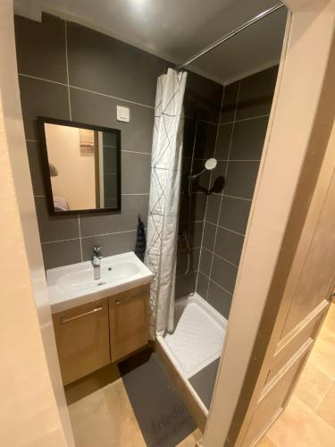 une salle de bain avec une douche, un lavabo et un miroir dans l'établissement Studio plein centre aix en Provence, à Aix-en-Provence