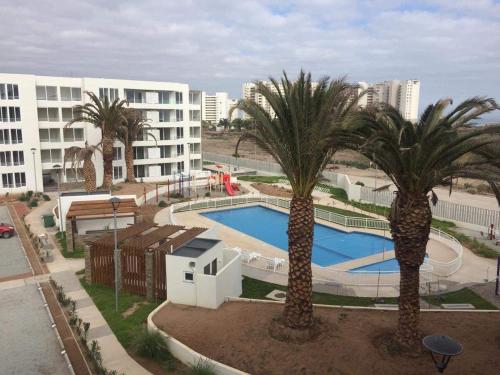 Departamento de descanso frente al mar في لا سيرينا: مسبح مع أشجار النخيل أمام مبنى