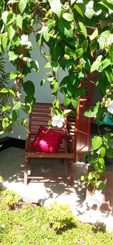 Jardin de l'établissement Mandara Rest