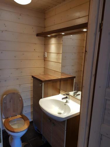 a bathroom with a toilet and a sink at Air-conditioned holiday home Vutnusmaja at Iso-Syöte in Syöte