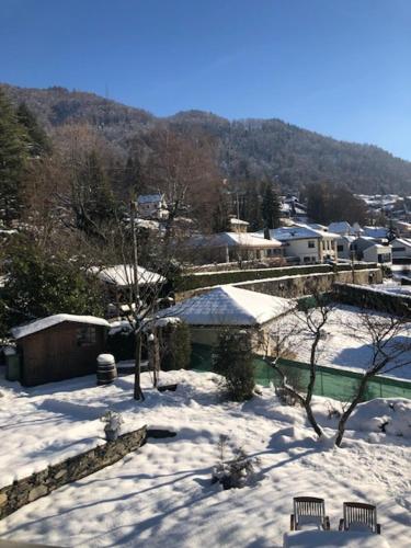 a snow covered city with buildings and a mountain at La Maison des Copains in Blonay