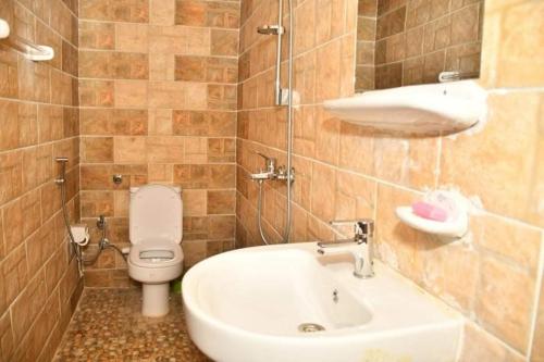 a bathroom with a white toilet and a sink at Om-Abdallah in Aswan