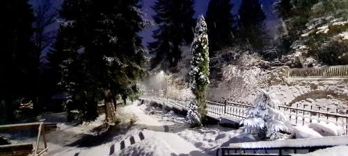 a park covered in snow with trees and a bridge at Willa 1910 in Karpacz