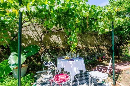 een tafel en stoelen in een tuin onder een boom bij Apartments Eos & Vespera in Dubrovnik