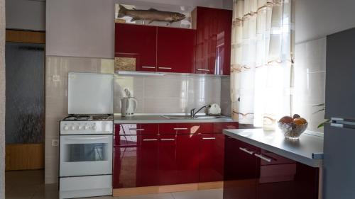 Η κουζίνα ή μικρή κουζίνα στο Apartment Kremžar Lokve