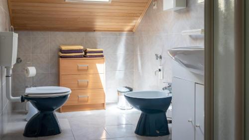 W łazience znajduje się niebieska toaleta i umywalka. w obiekcie Apartment Kremžar Lokve w mieście Lokve