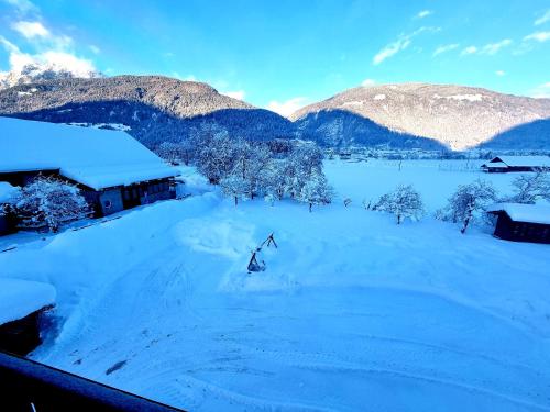 a field covered in snow with mountains in the background at Guesthouse Schoba Typ B in Oberdöbernitzen