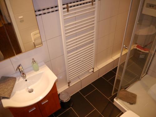 a bathroom with a sink and a shower at Haus-Wolter in Goslar