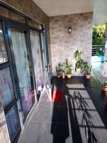 a shadow of a building with plants and a door at 3 bedrooms bungalow with jacuzzi enclosed garden and wifi at Chemin Grenier 2 km away from the beach in Chemin Grenier