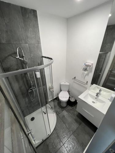 a bathroom with a shower and a toilet and a sink at Pensiunea Luisa in Craiova