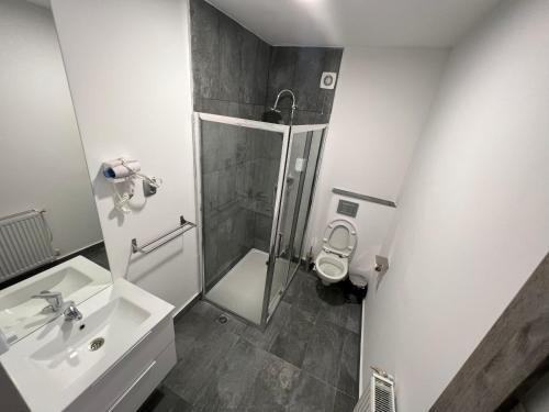 a bathroom with a shower and a sink and a toilet at Pensiunea Luisa in Craiova