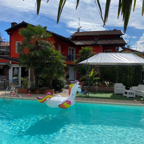 a plastic duck in the water in a swimming pool at B&B Villa Botto in Cossato