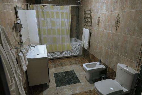 a bathroom with a toilet and a sink and a shower at Medeu in Kostanay