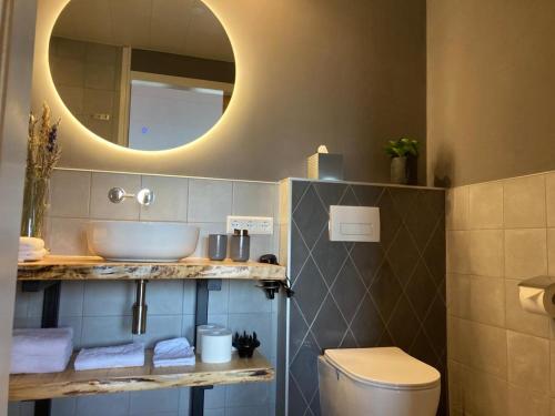 a bathroom with a sink and a mirror and a toilet at Bed and Breakfast Vechtdals Mooiste in Giethmen