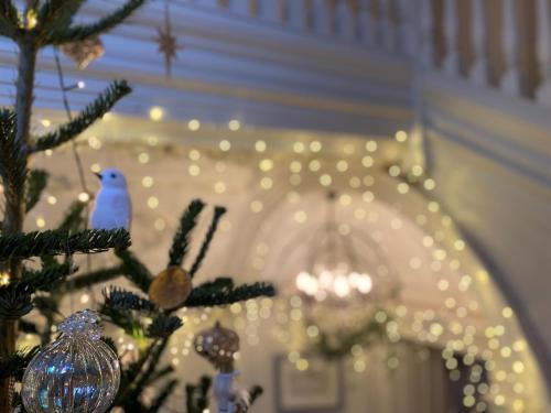 a table with a christmas tree with lights at Barnett Hill Hotel in Guildford