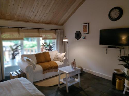 a living room with a couch and a tv at Logies De Houtdijk in Harich