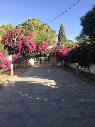 a driveway with pink flowers and a gate at Nostrana Village Apartments in Koskinou