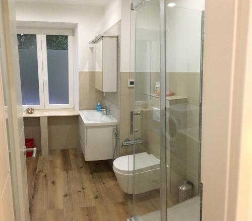 a bathroom with a toilet and a glass shower at Attraktive Ferienwohnung am Rande von Leipzig an der A14 in Taucha