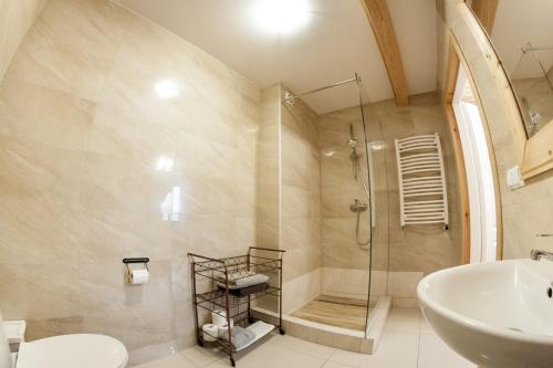 a bathroom with a shower and a toilet and a sink at Stajnia Wylągi in Kazimierz Dolny