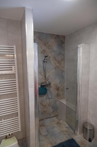a bathroom with a shower with a glass door at Jachovka in Nová Ves v Horách
