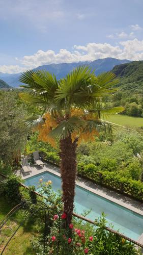 a palm tree next to a swimming pool at Casa Aries & Studio Aurora, Cavigliano in Cavigliano